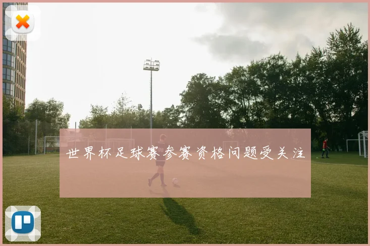 世界杯足球赛参赛资格问题受关注