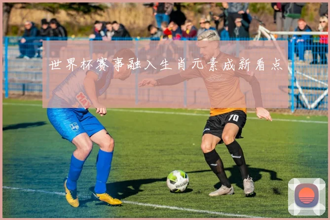 世界杯赛事融入生肖元素成新看点